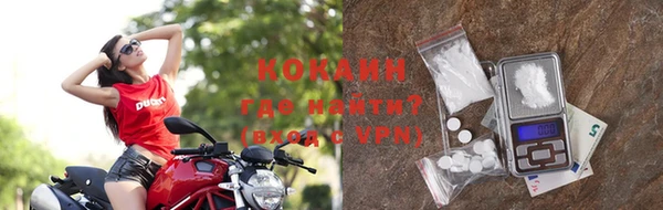 таблы Богданович
