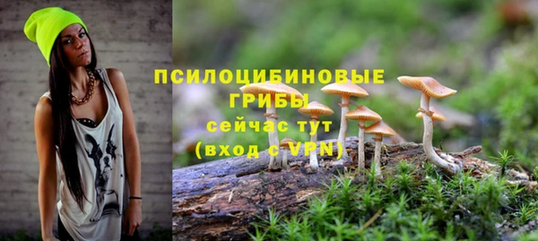 сатива Богородицк
