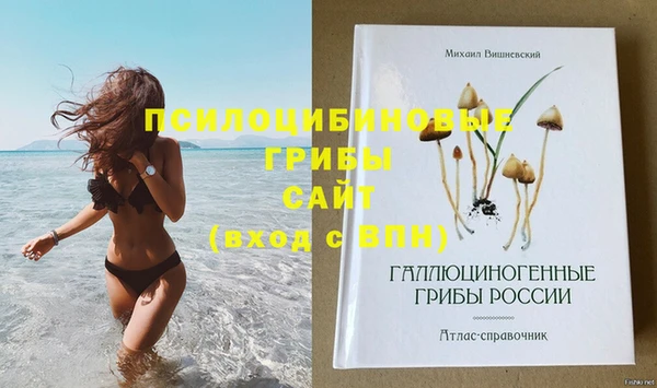 таблы Богданович