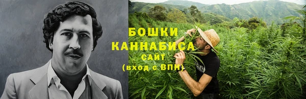 сатива Богородицк