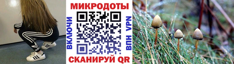 Псилоцибиновые грибы Magic Shrooms наркота Мурманск
