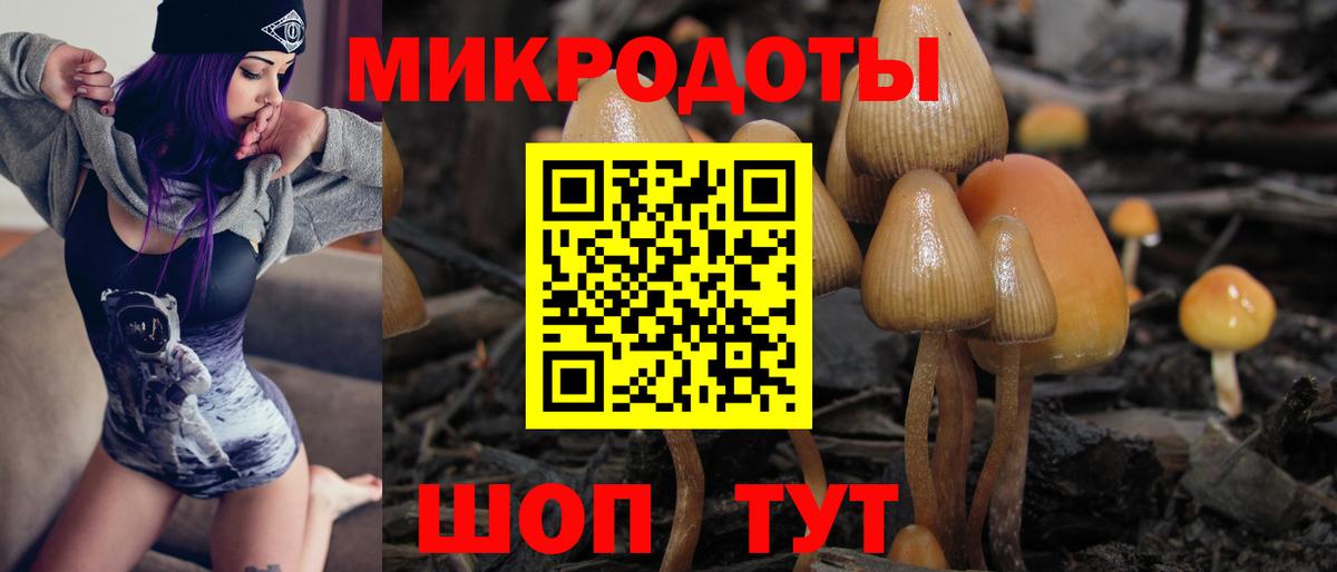 Мурманск  Галлюциногенные грибы GOLDEN TEACHER  Вход с VPN 